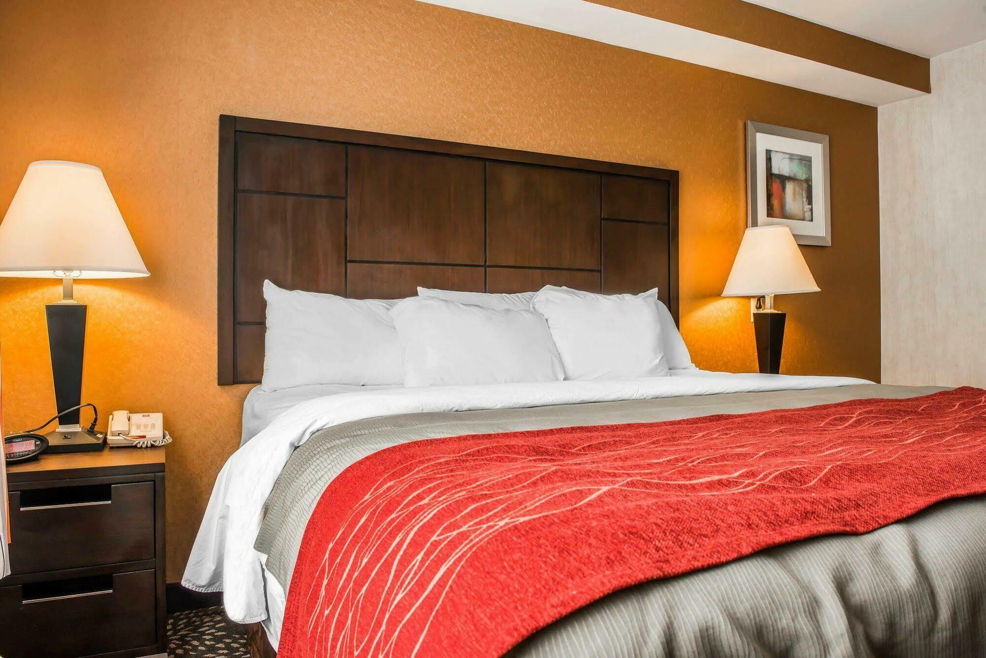 Hotel Red Roof Pittsburgh - Mcknight Rd 2*