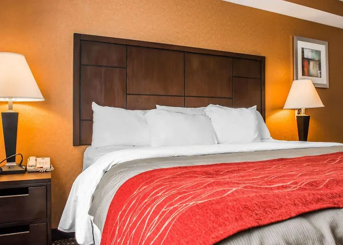 Red Roof Inn Pittsburgh - Mcknight Rd