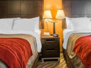 Hotel Red Roof Pittsburgh - Mcknight Rd 2*